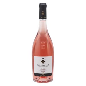 Guado al Tasso - Scalabrone 2025